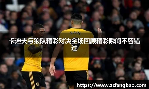 悟空体育卡迪夫与狼队精彩对决全场回顾精彩瞬间不容错过